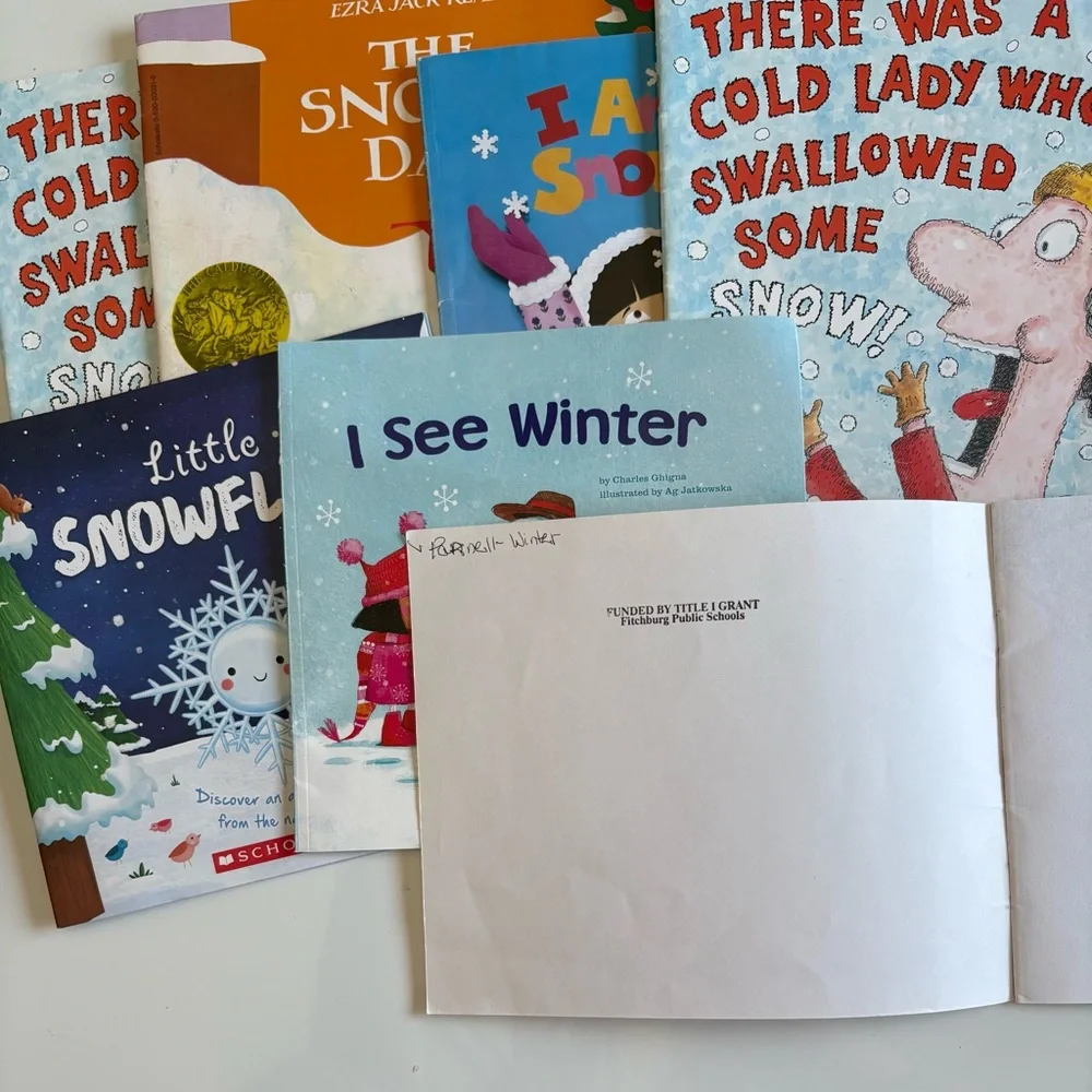 Children's Winter Storybook Collection (4)